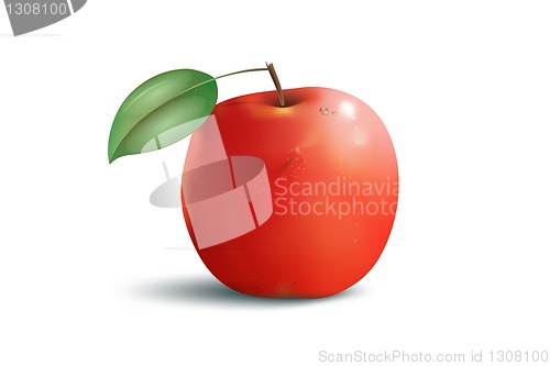 Image of apple red with leaf