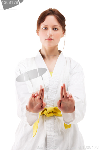Image of young sexy women in a karate pose