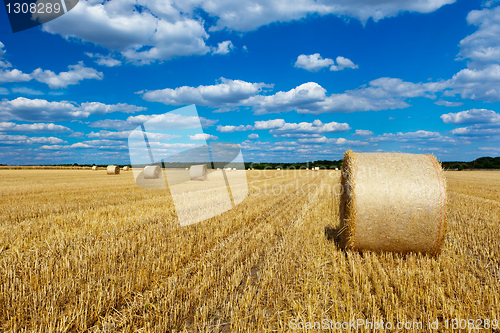 Image of straw bales in a field with blue and white sky