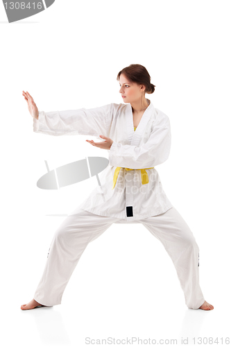 Image of young sexy women in a karate pose