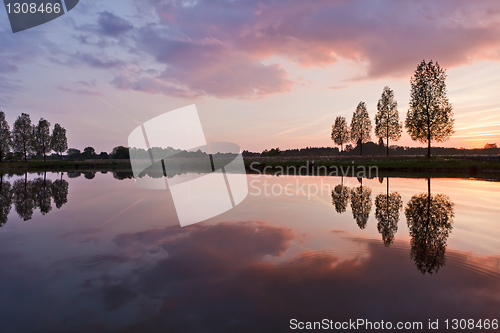 Image of Leafless tree near lake on sunset