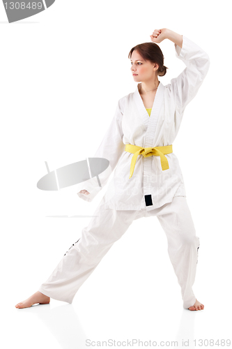 Image of young sexy women in a karate pose