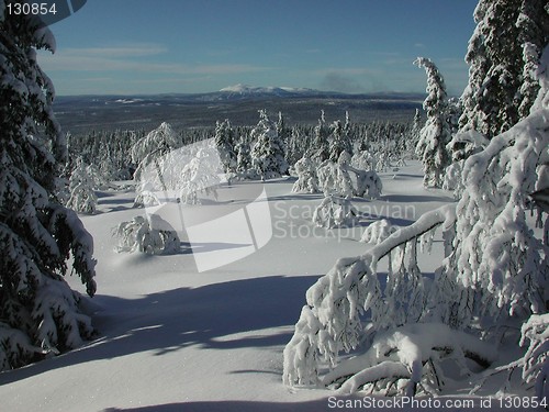 Image of Winterlandscape in Trysil