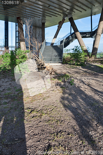 Image of Detail of the forest in city
