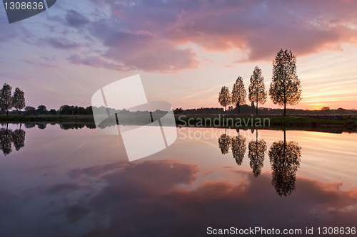 Image of Leafless tree near lake on sunset