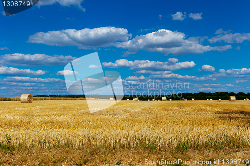 Image of straw bales in a field with blue and white sky