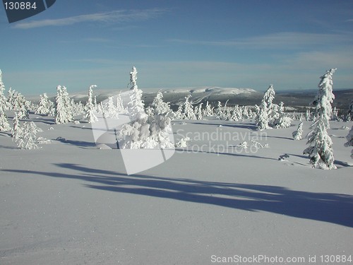 Image of Winter and snow