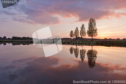 Image of Leafless tree near lake on sunset