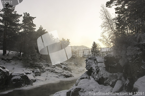 Image of foggy canyon