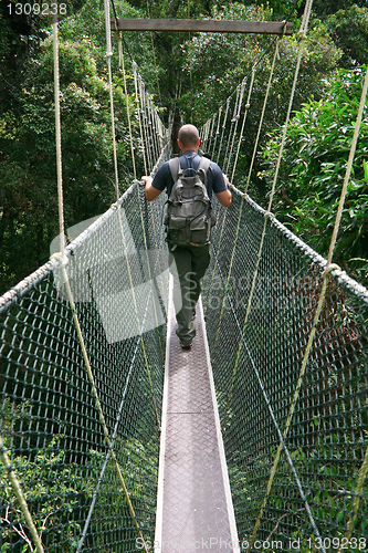 Image of canopy bridge