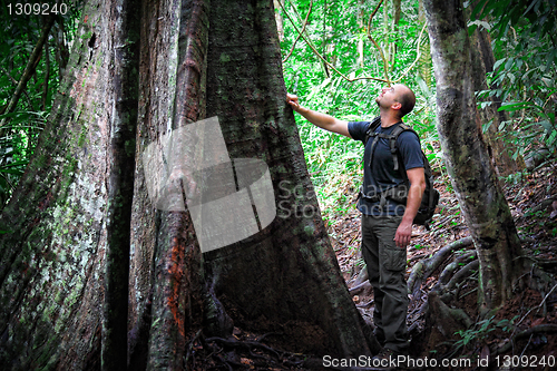 Image of man in borneo jungle