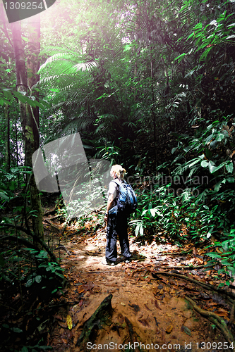 Image of woman in borneo jungle