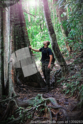 Image of man in borneo jungle