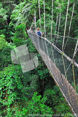 Image of canopy bridge