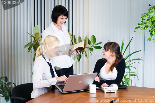 Image of Meeting of young business ladies