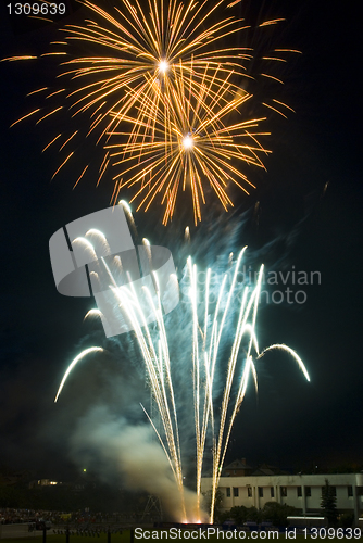 Image of Fireworks flower