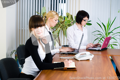 Image of Meeting of young business ladies