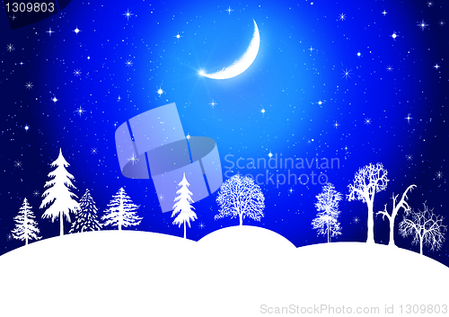 Image of Beautiful Winter scene