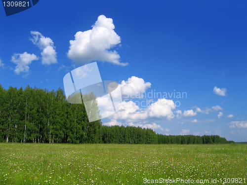 Image of summer landscape