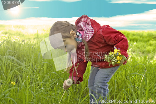 Image of Little girl collect yellow flowers