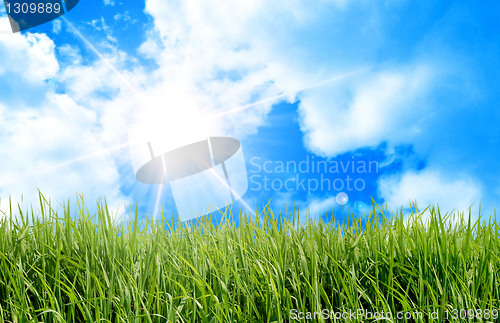 Image of green field and sun sky