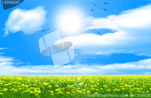 Image of sunny sky background