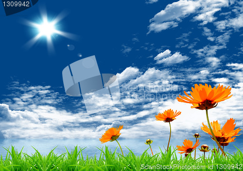 Image of nature
