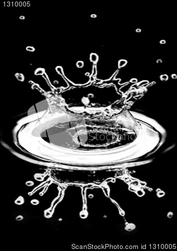 Image of Water splash