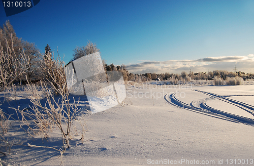 Image of Winter landscape