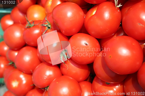 Image of Tomatos in market-stall