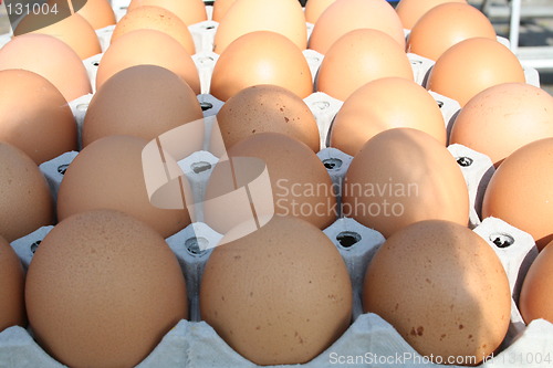 Image of Eggs