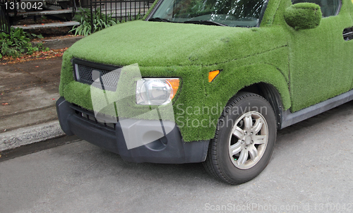 Image of grass car