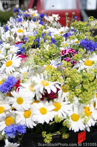 Image of Midsummer flowers