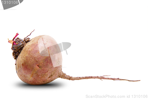 Image of beet