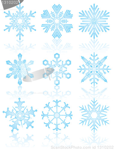 Image of Collection of snowflakes, vector