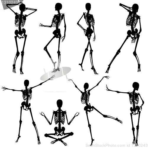 Image of Collect skeleton silhouettes