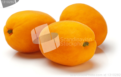 Image of Apricots