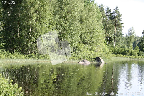 Image of Lake in summer-time