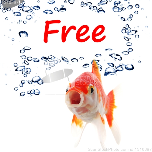 Image of free