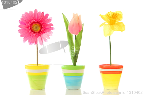 Image of funny flowers