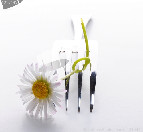 Image of flower and fork