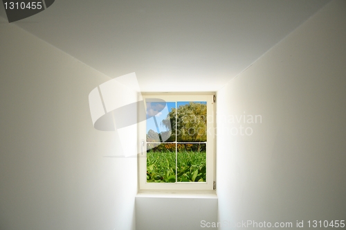 Image of window and nature