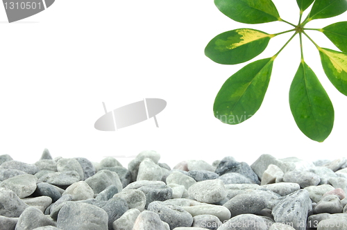 Image of stones and leaf