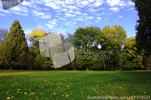 Image of fall in the park with green trees under blue sky