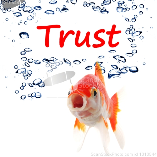 Image of trust