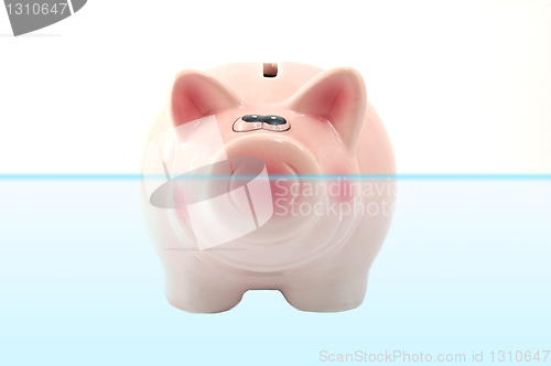 Image of piggy bank swimming in water