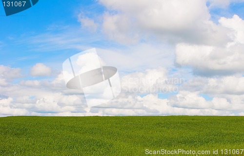 Image of Summer landscape