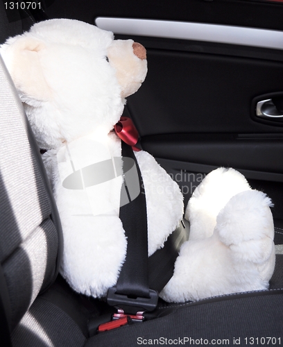 Image of fasten your seat belt
