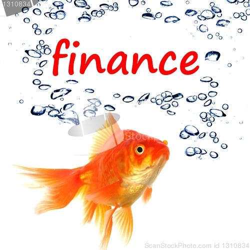 Image of finance