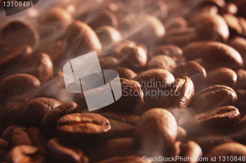 Image of coffee beans
